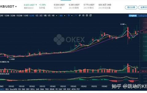 USDT突遭安全漏洞，流失高达OP万美元-开云中国网站