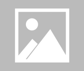 关于SHIB突遭安全漏洞，流失高达23万美元的信息-开运体育入口